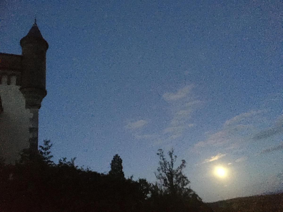 Chateau De Villeneuve - Montolieu Εξωτερικό φωτογραφία