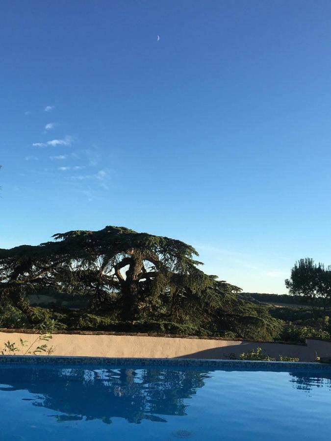 Chateau De Villeneuve - Montolieu Εξωτερικό φωτογραφία